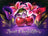 Sweet Cherry Lillies - Home